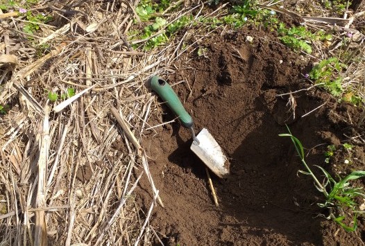 Proyecto: Next Generation Mancomunidade do Salnés